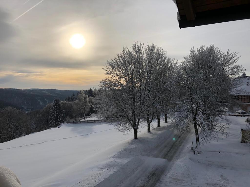 Haus Bergblick Appartement Frauenwald Buitenkant foto